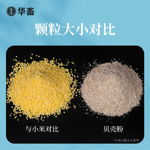 华畜贝壳粉鸡用芦丁鸡鹌鹑专用鸽用信鸽鹦鹉兽用高钙补鸽子保健砂 商品图4