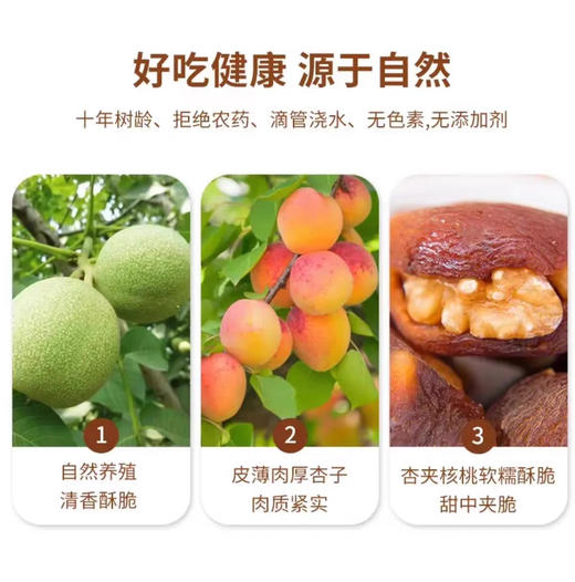 九鑫杏脯夹核桃仁320g 商品图2