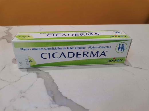 法国Boiron宝弘 修护膏11384 商品图0