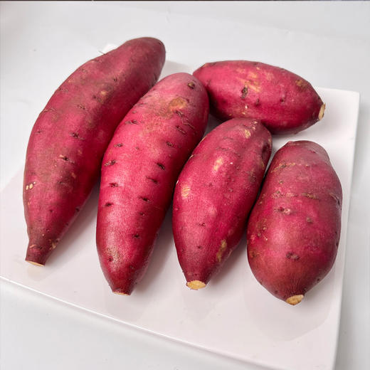 云南赤炎薯王 5斤 商品图11
