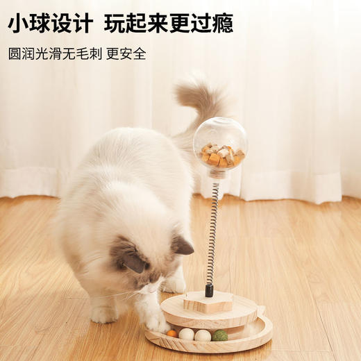 猫玩具漏食球猫咪解闷神器狗狗猫咪智力玩具宠物自嗨漏食器玩具 商品图2