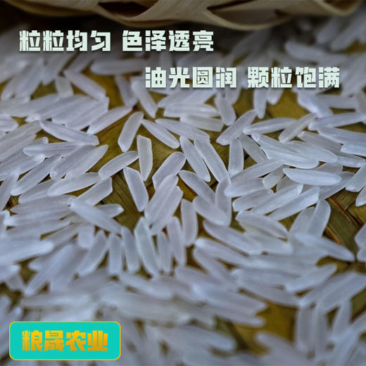 沅江大米 沅江阳罗香米10kg【CSZY】 商品图3