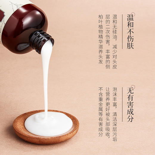 【蓬松控油洗发液】呵护秀发，细腻洁净，丝丝柔顺，洗发液深度清洁清顺柔顺洗发水 商品图1