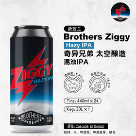 【冷库储存】新西兰奇异兄弟 太空酿造浑浊IPA啤酒