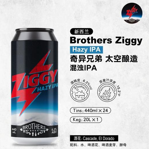【冷库储存】新西兰奇异兄弟 太空酿造浑浊IPA啤酒 商品图0