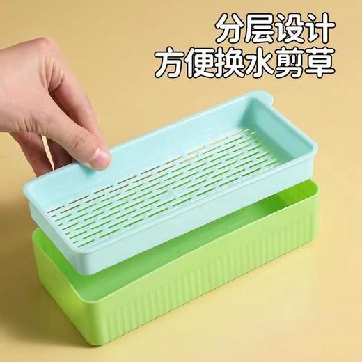 【出芽率99%】水培猫草即食去毛球无土种子化毛球猫咪超大盆零食 商品图3