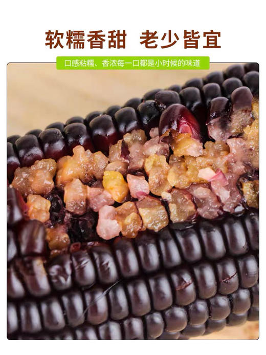 墨兰香糯玉米 商品图5