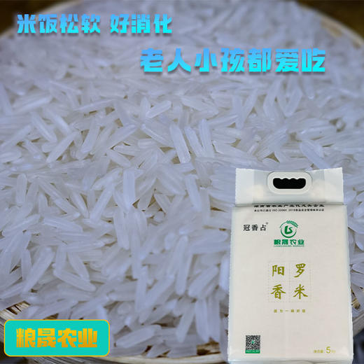 沅江大米  阳罗香米 5kg 【CSZY】 商品图2