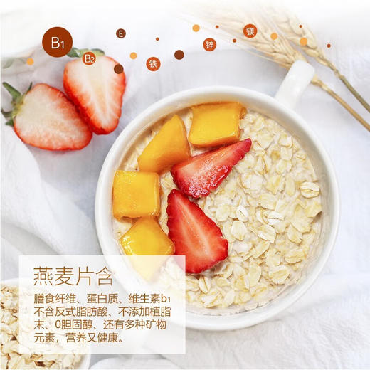 嘉谷（Jiagu）澳洲全燕麦 冲饮谷物 膳食纤维 冲泡即食营养早餐纯燕麦 900g袋装 商品图6