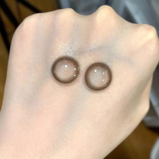 Winni日抛--糕糕企鹅 商品图1