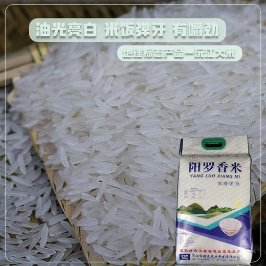 沅江大米 沅江阳罗香米10kg【CSZY】 商品图2