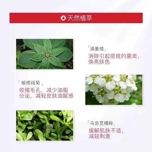 薇诺娜清痘修复精华液 控油祛痘收缩毛30g 商品图3