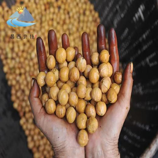 临安山核桃 精选大果 壳薄易剥 清香酥脆 商品图3