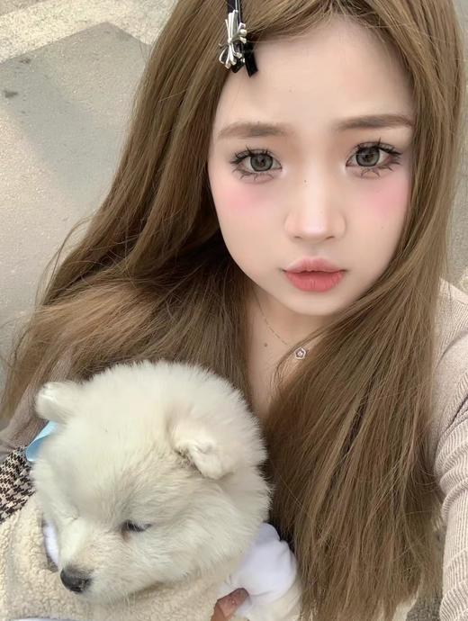 大直径混血丨虎斑绿·EallaGirl丨14.5mm（年抛/2片装） 商品图4