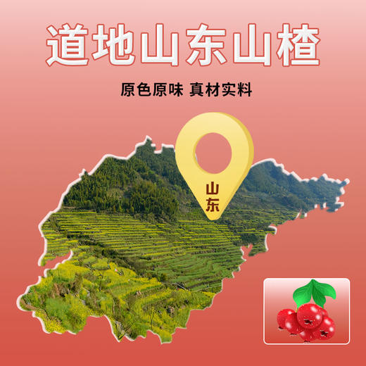 玉衡仿野生山楂粉 山东山楂 超细粉 酸甜可口 养生茶118g 商品图3