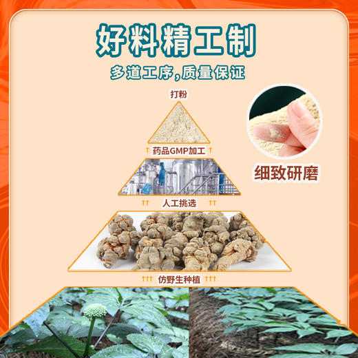 玉衡仿野生三七粉 云南文山三七 超细粉 128g 商品图2