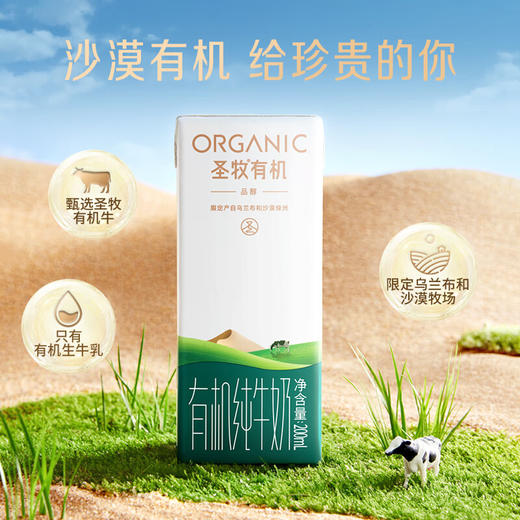 圣牧有机纯牛奶 品醇200ml*12盒 牧场 纯净有机可追溯 口感清爽 商品图1