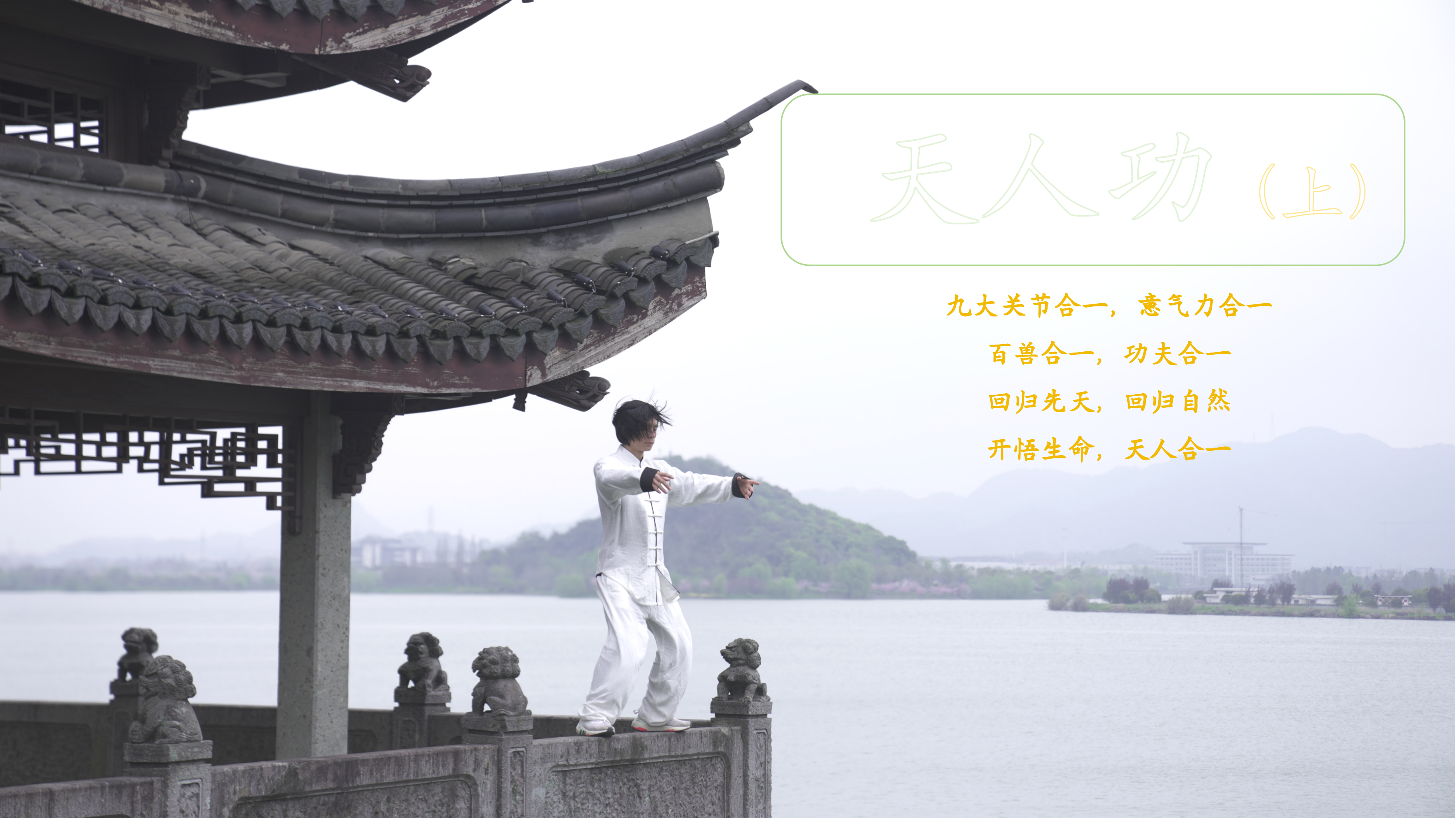 雷小翼 天人功法（上）：柔筋骨返先天