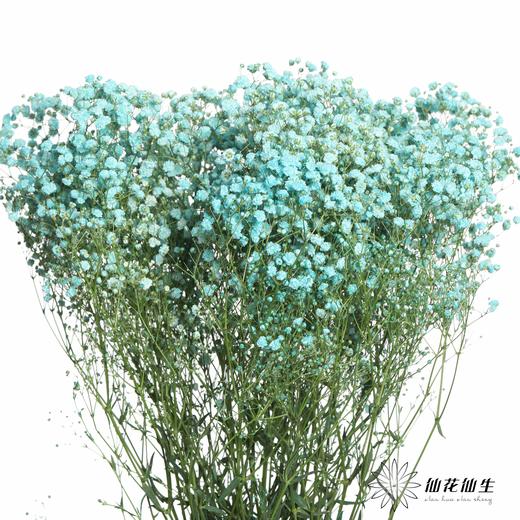 出口级满天星 | 马卡宝蓝 商品图3