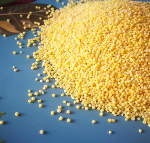 【农场直邮】有机小米礼盒丨5斤（敖汉） 商品图1