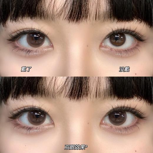 Winni日抛--D15果冻奶猫 商品图3