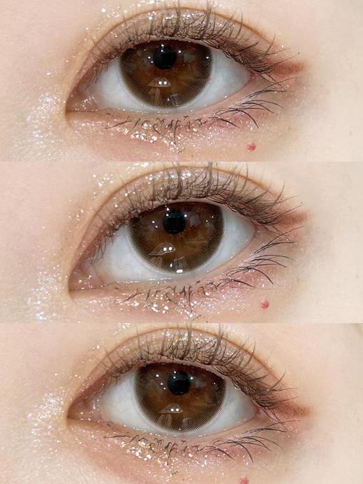 Winni日抛--D18姜饼浣熊 商品图6