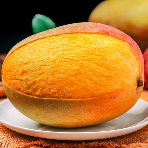 凯特芒 1000g/份 商品图0