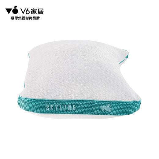 V6家居 PFZ1-028  SKYLINE系列 枕头 商品图9