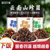 油鸡枞菌云南特产菌子松茸菌牛肝菌即食香蘑菇酱小吃拌饭酱下饭菜 商品缩略图0