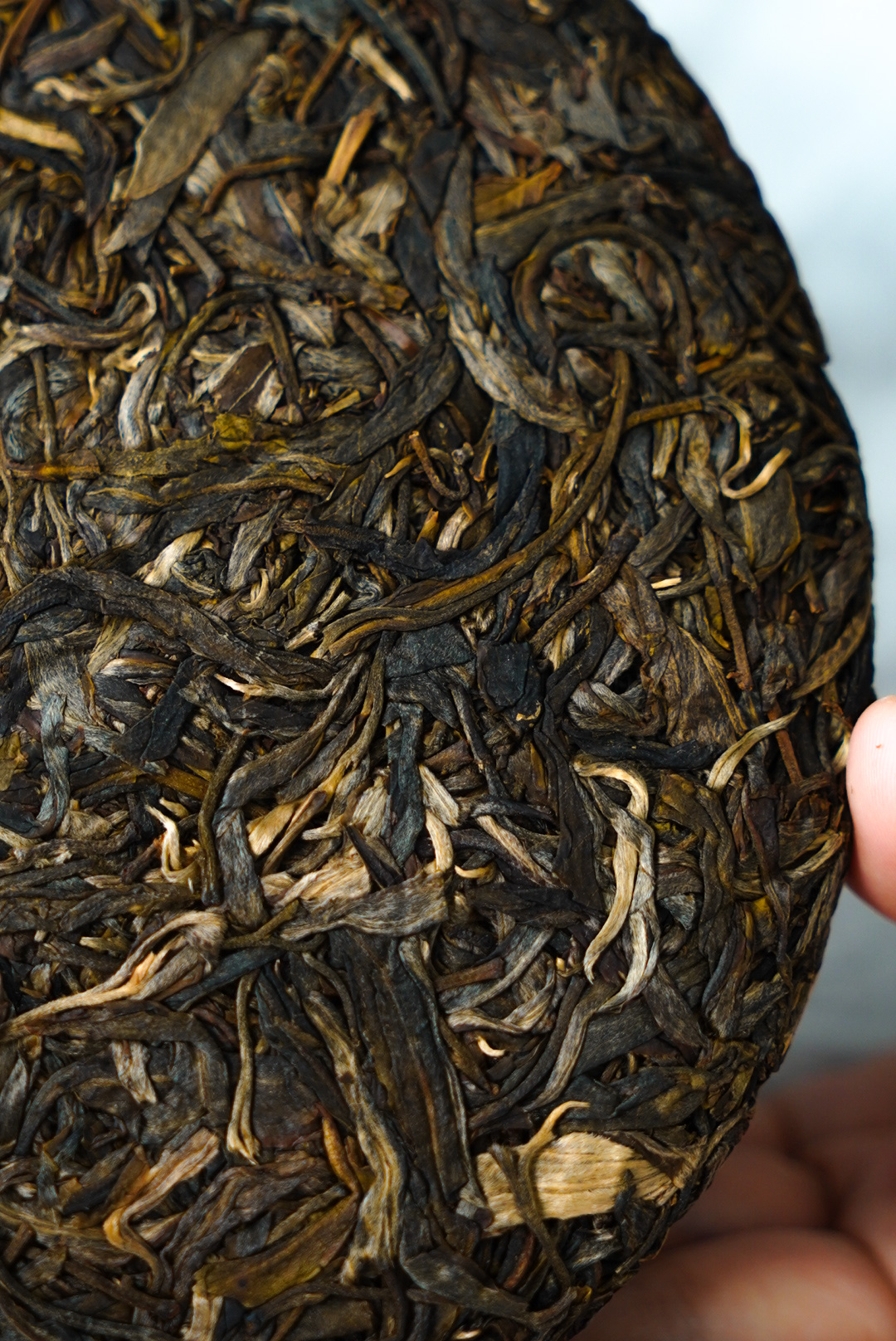 【千年老妖】1〇〇〇岁的古树茶!