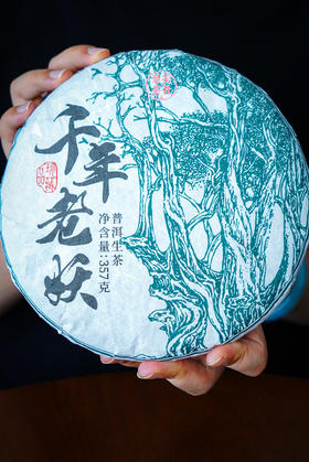 【千年老妖】1〇〇〇岁的古树茶！