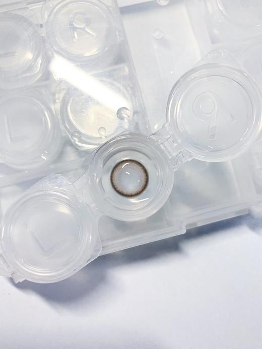 Winni日抛--D15果冻奶猫 商品图1