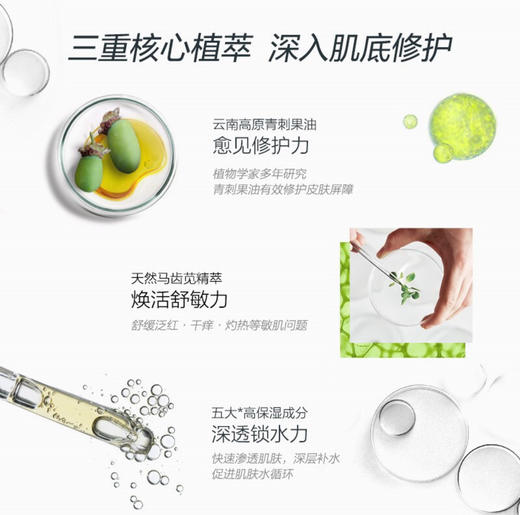 薇诺娜舒敏保湿修护精华液30ml 商品图6