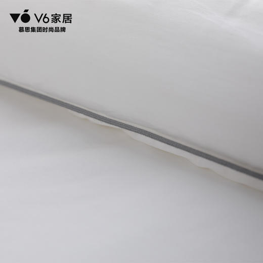 DFZ1-010丨净卫士• 云柔抗菌系列/冬被 商品图4