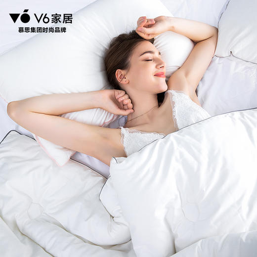 DFZ1-010丨净卫士• 云柔抗菌系列/冬被 商品图1