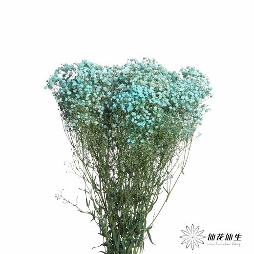 出口级满天星 | 马卡宝蓝 商品图1