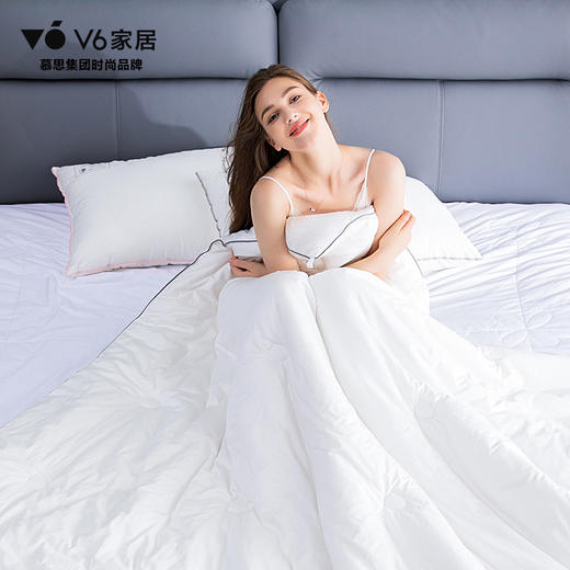 DFZ1-010丨净卫士• 云柔抗菌系列/冬被 商品图3