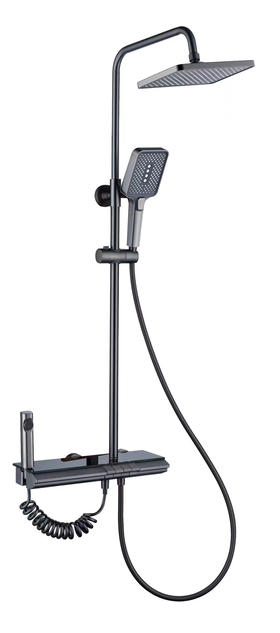 帝富龙G2262大花洒