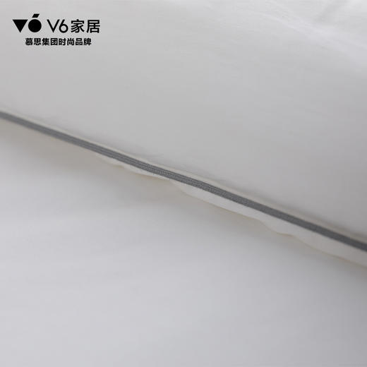 V6家居 DFZ1-009净卫士·云柔抗菌系列/春秋被 商品图3