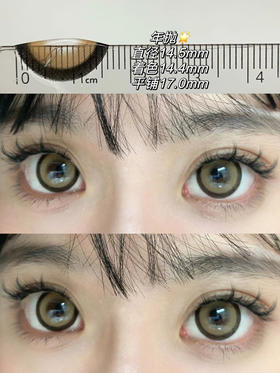 超大直径丨月光小狗棕·Sheepcon丨14.5mm（年抛/2片装）