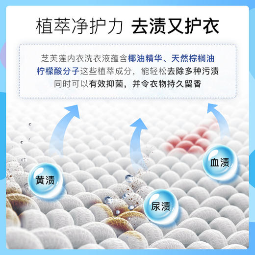 【半山超市】B座9F丨芝芙莲内衣内裤洗衣液蜜桃玫瑰清洗剂500ml 商品图1