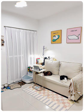 月租💰350的一房一厅，真的不想搬走啦！