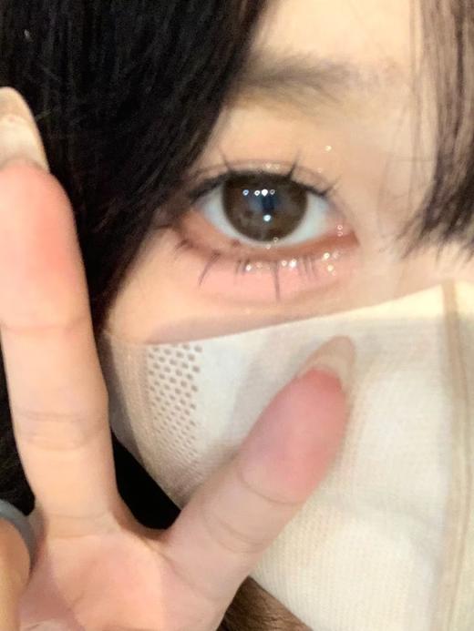 Winni日抛--D18姜饼浣熊 商品图1