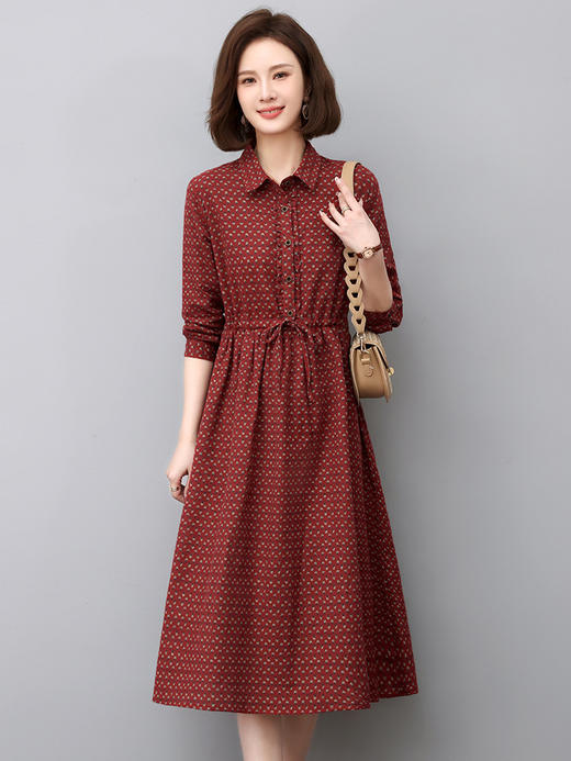 秋季新款，中长款韩版气质减龄波点长袖连衣裙HR-WJ23099 商品图3