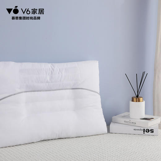 PFZ1-047 决明子定型枕 商品图1