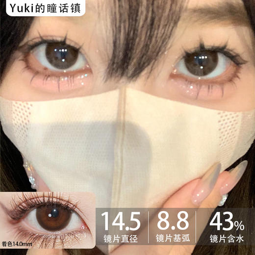 Winni日抛--D18姜饼浣熊 商品图0