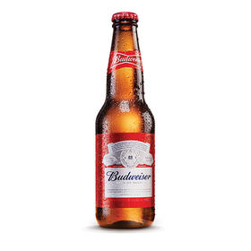 百威啤酒整箱300ml/1瓶/6瓶/12瓶