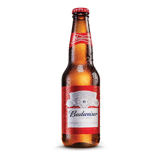 百威啤酒整箱300ml/1瓶/6瓶/12瓶 商品图0
