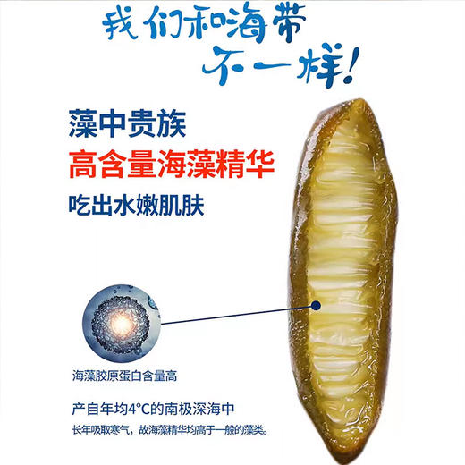 【会员专享】京东华南极海松茸250g/袋 40袋/件 商品图1