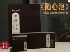 7年陈老白茶春寿眉饼干茶《随心泡》（1份装），简单、方便！